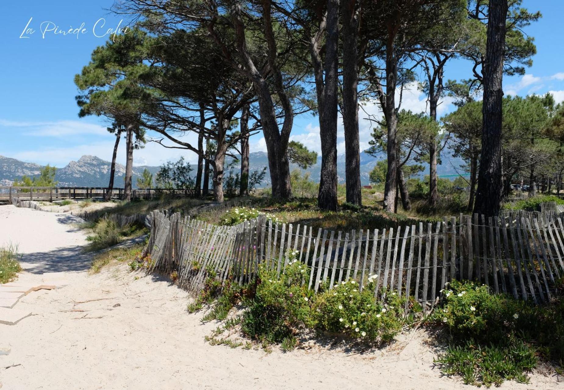 Les Pieds Dans L'Eau T2 E Διαμέρισμα Καλβί Εξωτερικό φωτογραφία